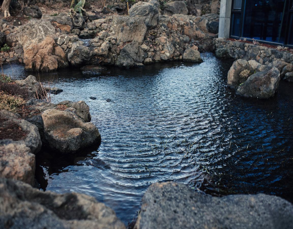 Jeju Feel Pension Εξωτερικό φωτογραφία